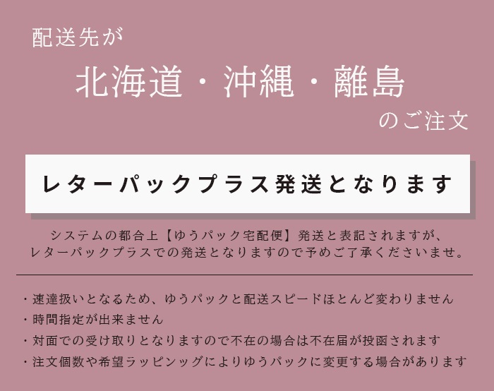 レターパックプラスでの発送
