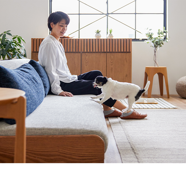SOFA