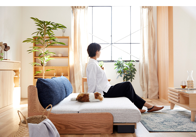 SOFA