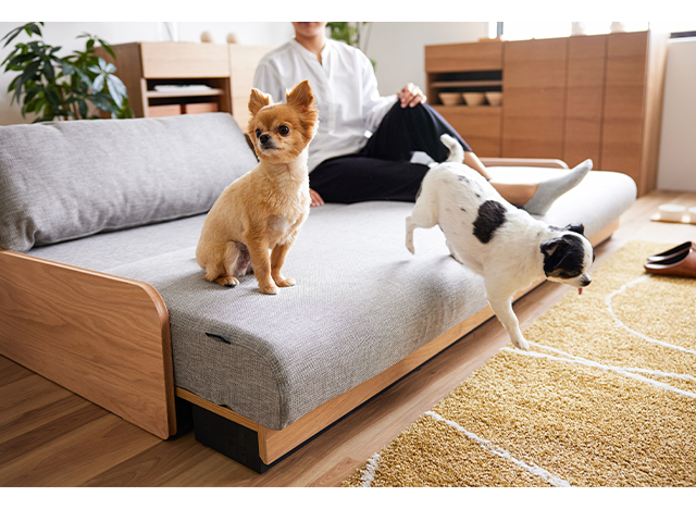 SOFA