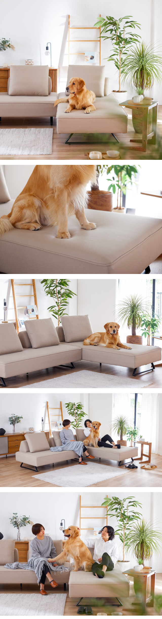 COUCH SOFA