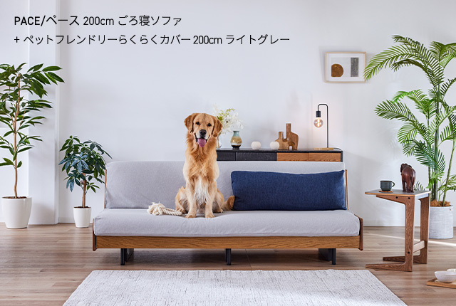 Pet friendly sofa cover