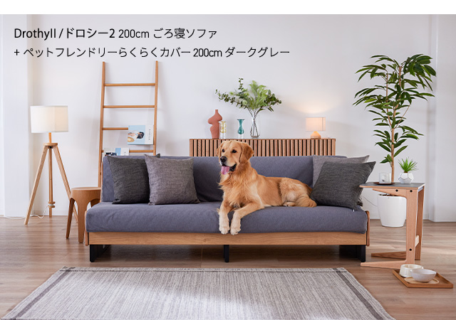 Pet friendly sofa cover