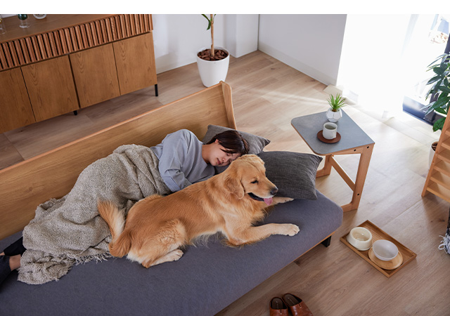 Pet friendly sofa cover