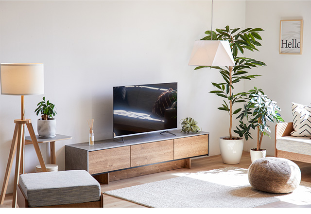 TV BOARD