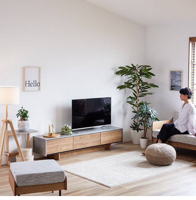 TV BOARD