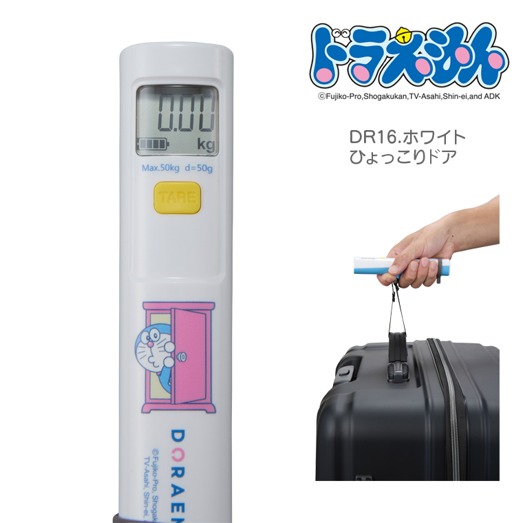 DR16.ホワイトひょっこりドア