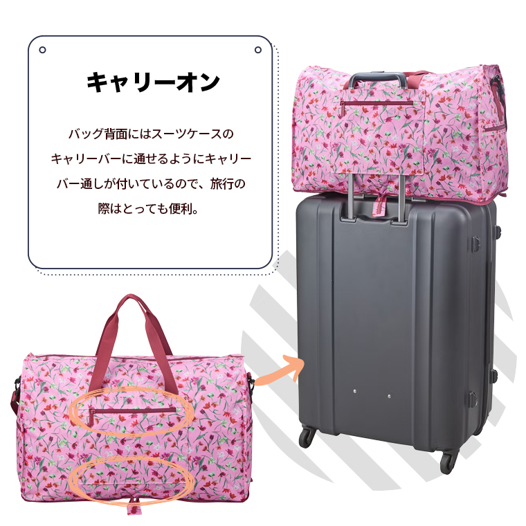 POINT2 キャリーオン