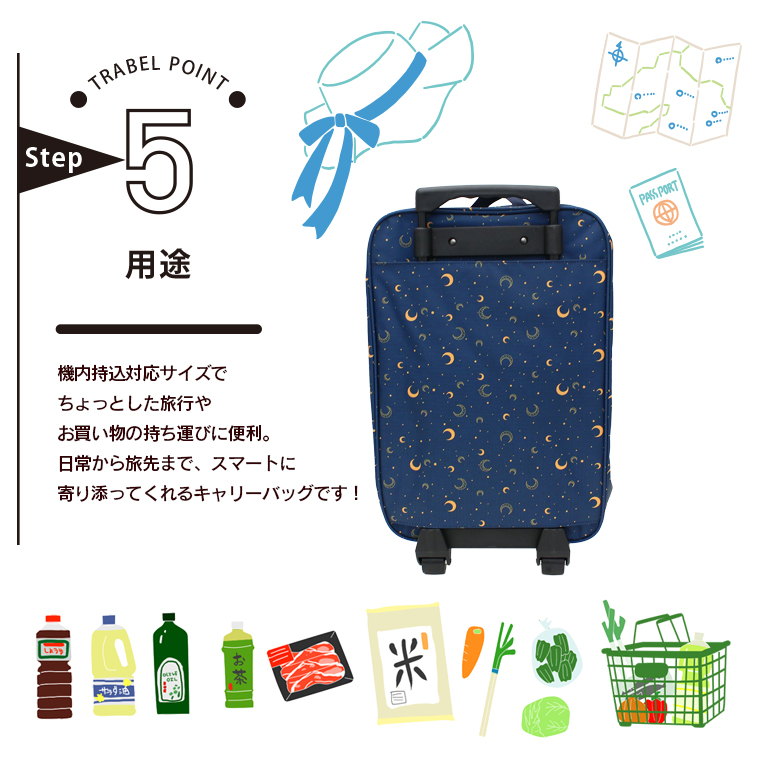 Travel Collection 折りたたみ ソフトキャリー Sサイズ 29L 簡易