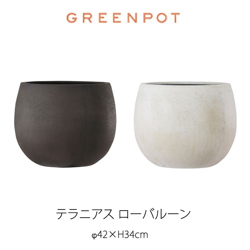 GREENPOT テラニアスローバルーン 42 ※北海道・沖縄及び離島は送料別途