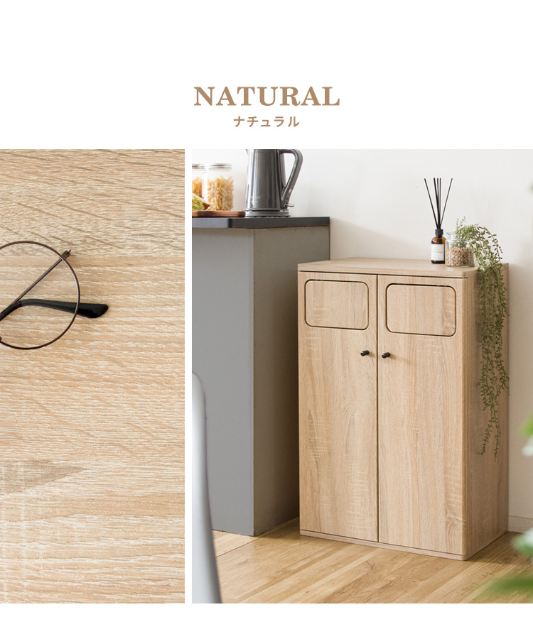 ゴミ箱 45l 45リットル 2分別 分別 ふた付き プッシュ式 スリム