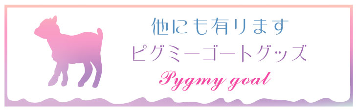商品画像15