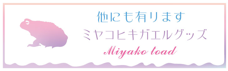 商品画像12