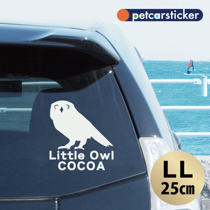 車 ステッカー 【 コキンメフクロウ 】【LＬ】 かわいい シンプル カーステッカー カッティングシート グッズ プレゼント おしゃれ オーダーメイド 名前 シール