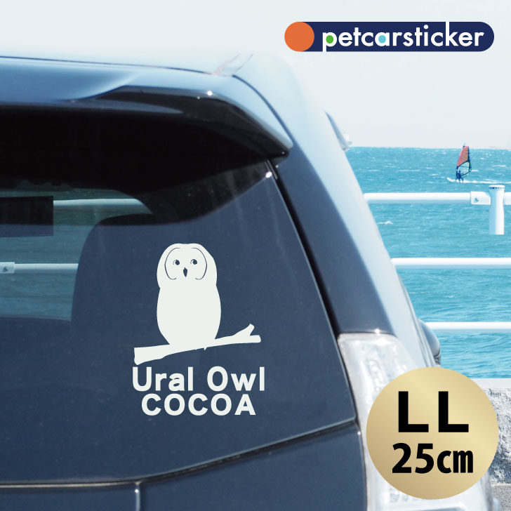 車 ステッカー 【 ウラルフクロウ 】【LＬ】 かわいい シンプル カーステッカー カッティングシート グッズ プレゼント おしゃれ オーダーメイド 名前 シール