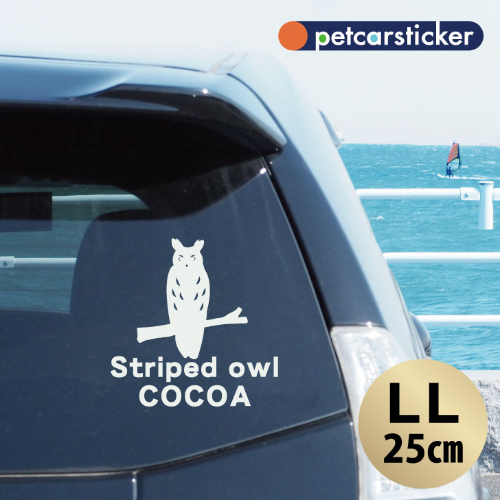 車 ステッカー 【 ウサギフクロウ 】【LＬ】 かわいい シンプル カーステッカー カッティングシート グッズ プレゼント おしゃれ オーダーメイド 名前 シール