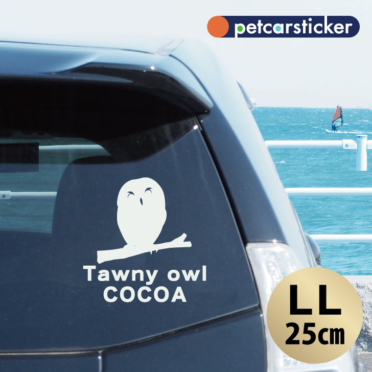 車 ステッカー 【 モリフクロウ 】【LＬ】 かわいい シンプル カーステッカー カッティングシート グッズ プレゼント おしゃれ オーダーメイド 名前 シール