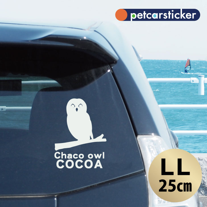 車 ステッカー 【 チャコモリフクロウ 】【LＬ】 かわいい シンプル カーステッカー カッティングシート グッズ プレゼント おしゃれ オーダーメイド 名前
