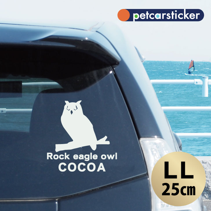 車 ステッカー 【 ベンガルワシミミズク 】【LＬ】 かわいい シンプル カーステッカー カッティングシート グッズ プレゼント おしゃれ オーダーメイド 名前