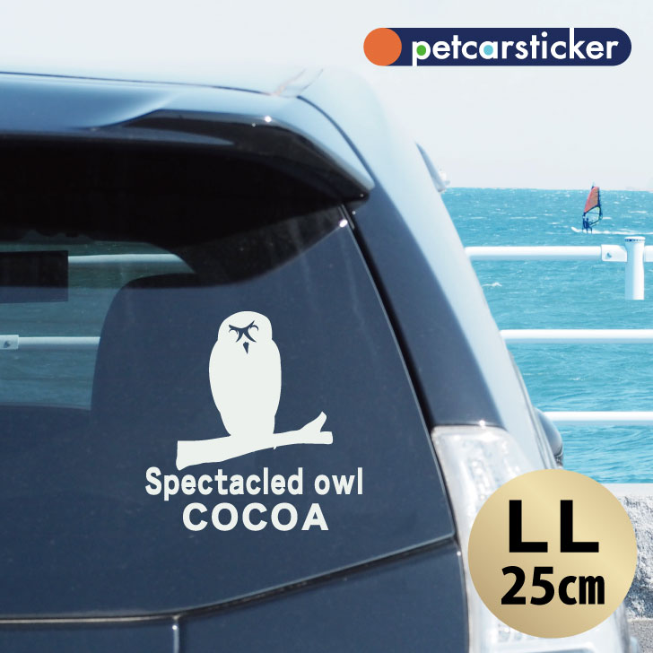 車 ステッカー 【 メガネフクロウ 】【LＬ】 かわいい シンプル カーステッカー カッティングシート グッズ プレゼント おしゃれ オーダーメイド 名前 シール
