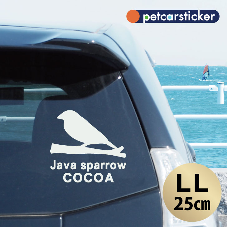 車 ステッカー 【 文鳥 】【LＬ】 かわいい シンプル カーステッカー カッティングシート グッズ プレゼント おしゃれ オーダーメイド 名前 シール 可愛い