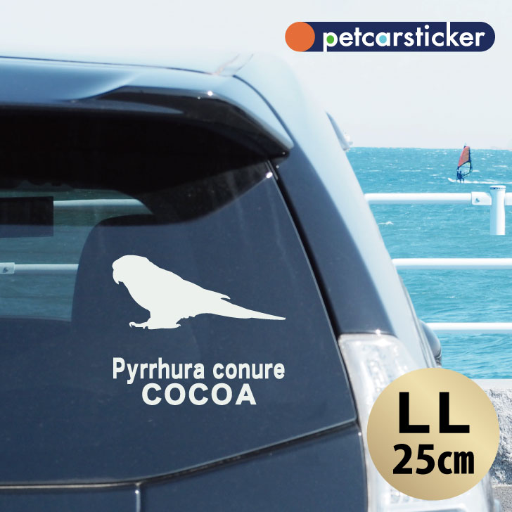車 ステッカー 【 ウロコインコ 】【LＬ】 かわいい シンプル カーステッカー カッティングシート グッズ プレゼント おしゃれ オーダーメイド 名前 シール