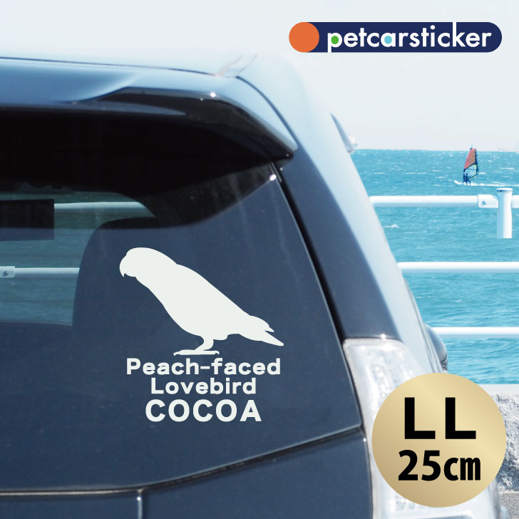 車 ステッカー 【 コザクラインコ 】【LＬ】 かわいい シンプル カーステッカー カッティングシート グッズ プレゼント おしゃれ オーダーメイド 名前 シール