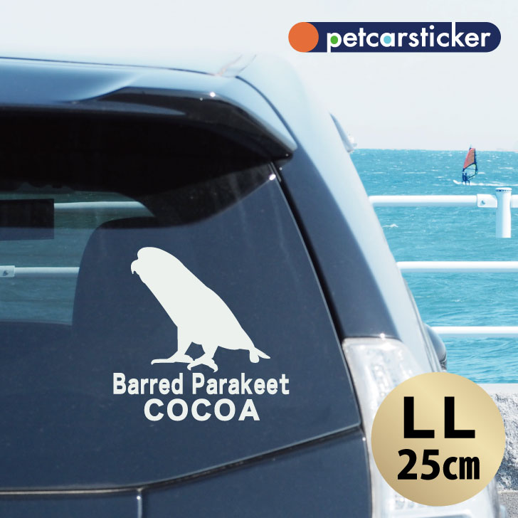車 ステッカー 【 サザナミインコ 】【LＬ】 かわいい シンプル カーステッカー カッティングシート グッズ プレゼント おしゃれ オーダーメイド 名前 シール