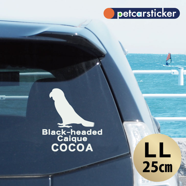 車 ステッカー 【 ズグロシロハラインコ 】【LＬ】 かわいい シンプル カーステッカー カッティングシート グッズ プレゼント おしゃれ オーダーメイド 名前