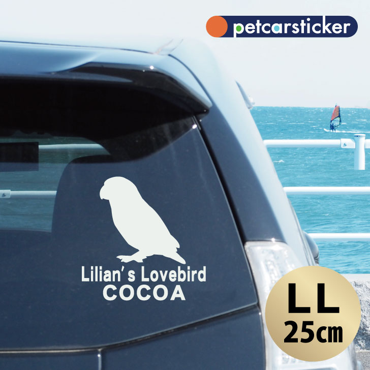 車 ステッカー 【 ボタンインコ 】【LＬ】 かわいい シンプル カーステッカー カッティングシート グッズ プレゼント おしゃれ オーダーメイド 名前 シール