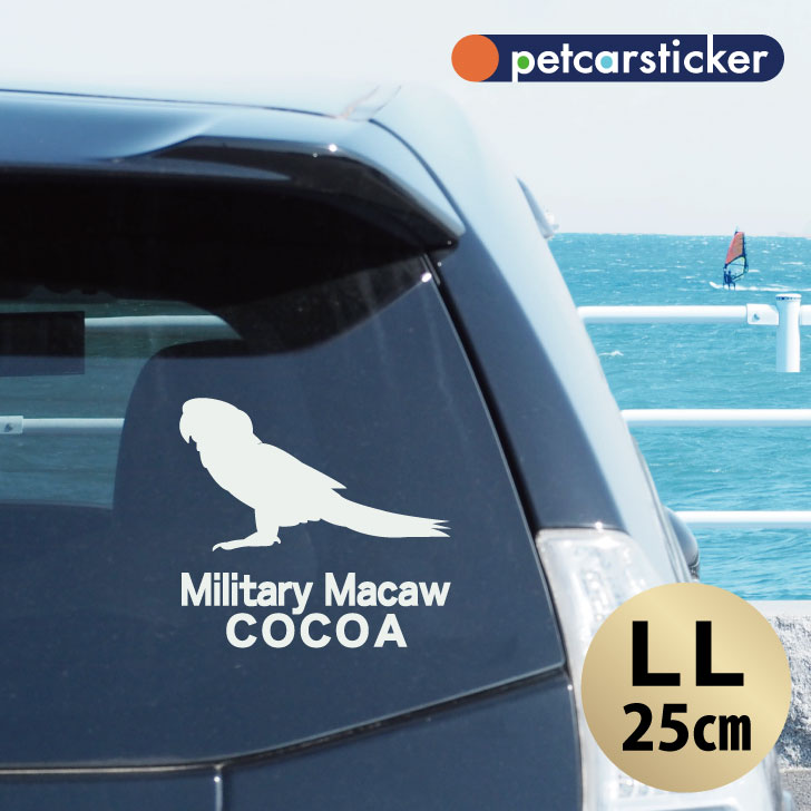 車 ステッカー 【 ミドリコンゴウインコ 】【LＬ】 かわいい シンプル カーステッカー カッティングシート グッズ プレゼント おしゃれ オーダーメイド 名前