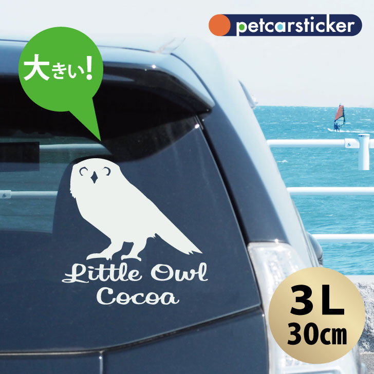 車 ステッカー 【 コキンメフクロウ 】【3Ｌ】 かわいい シンプル カーステッカー カッティングシート グッズ プレゼント おしゃれ オーダーメイド 名前 シール