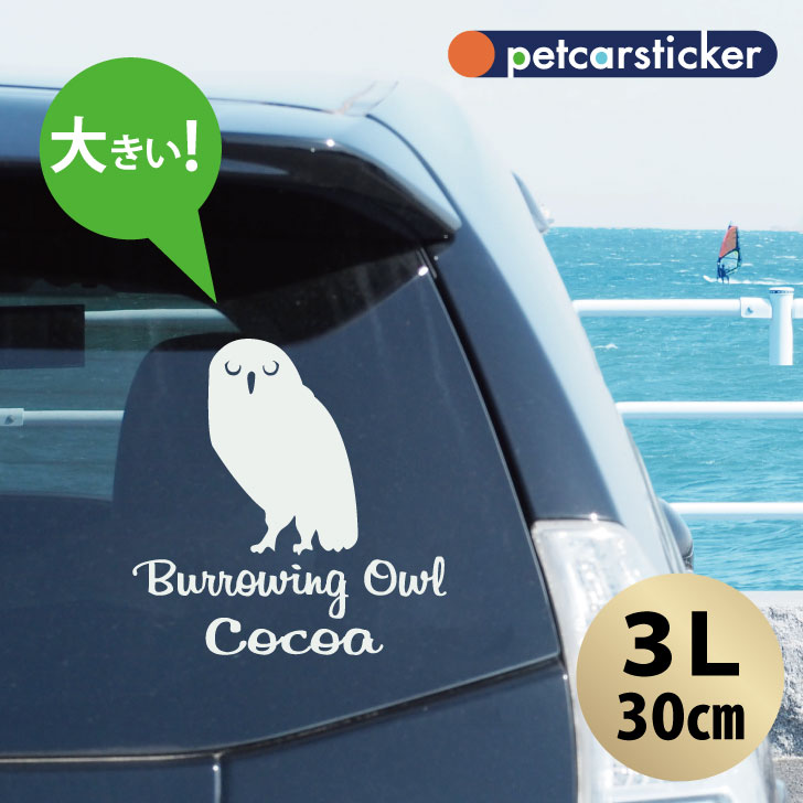 車 ステッカー 【 アナホリフクロウ 】【3Ｌ】 かわいい シンプル カーステッカー カッティングシート グッズ プレゼント おしゃれ オーダーメイド 名前 シール