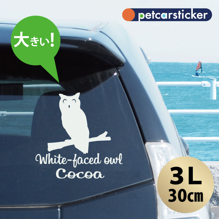 車 ステッカー 【 アフリカオオコノハズク 】【3Ｌ】 かわいい シンプル カーステッカー カッティングシート グッズ プレゼント おしゃれ オーダーメイド 名前