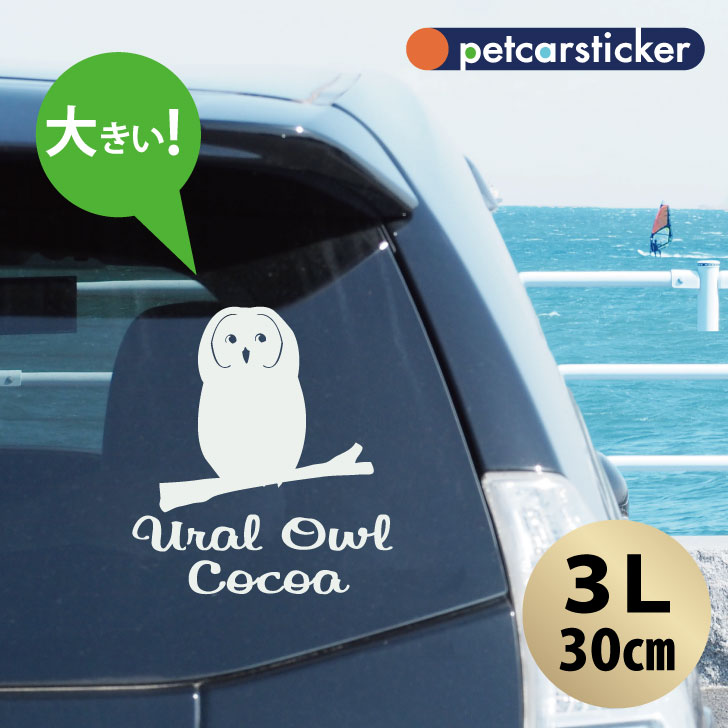 車 ステッカー 【 ウラルフクロウ 】【3Ｌ】 かわいい シンプル カーステッカー カッティングシート グッズ プレゼント おしゃれ オーダーメイド 名前 シール