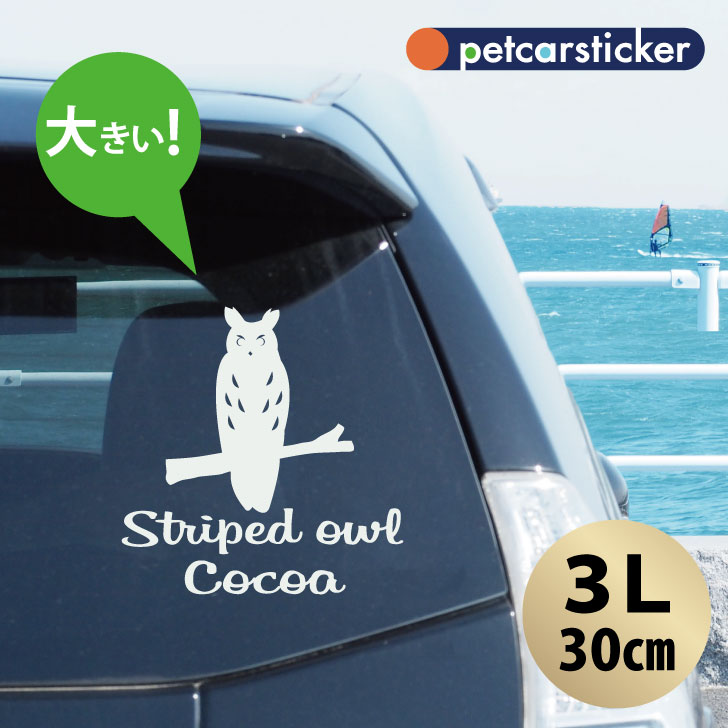 車 ステッカー 【 ウサギフクロウ 】【3Ｌ】 かわいい シンプル カーステッカー カッティングシート グッズ プレゼント おしゃれ オーダーメイド 名前 シール