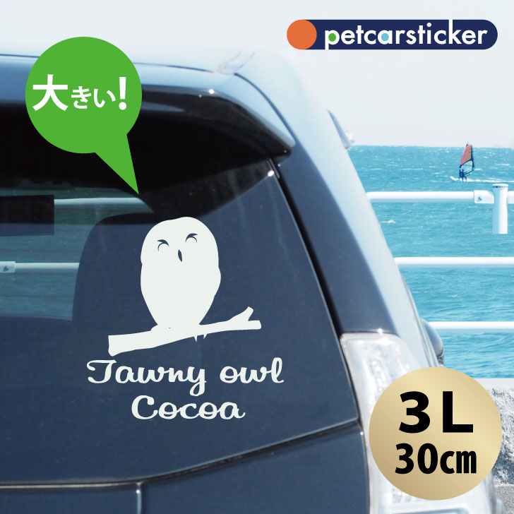 車 ステッカー 【 モリフクロウ 】【3Ｌ】 かわいい シンプル カーステッカー カッティングシート グッズ プレゼント おしゃれ オーダーメイド 名前 シール