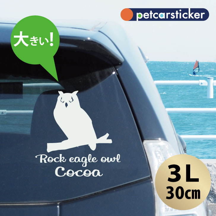 車 ステッカー 【 ベンガルワシミミズク 】【3Ｌ】 かわいい シンプル カーステッカー カッティングシート グッズ プレゼント おしゃれ オーダーメイド 名前