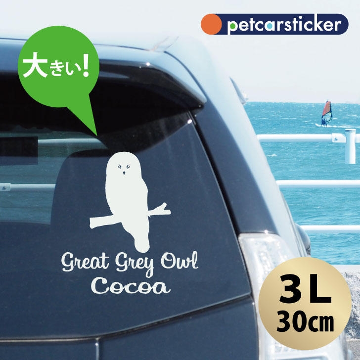 車 ステッカー 【 カラフトフクロウ 】【3Ｌ】 かわいい シンプル カーステッカー カッティングシート グッズ プレゼント おしゃれ オーダーメイド 名前 シール