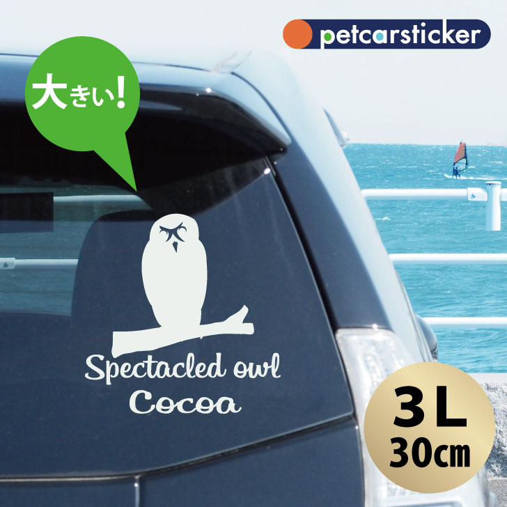 車 ステッカー 【 メガネフクロウ 】【3Ｌ】 かわいい シンプル カーステッカー カッティングシート グッズ プレゼント おしゃれ オーダーメイド 名前 シール