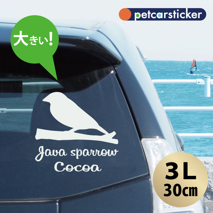 車 ステッカー 【 文鳥 】【3Ｌ】 かわいい シンプル カーステッカー カッティングシート グッズ プレゼント おしゃれ オーダーメイド 名前 シール 可愛い