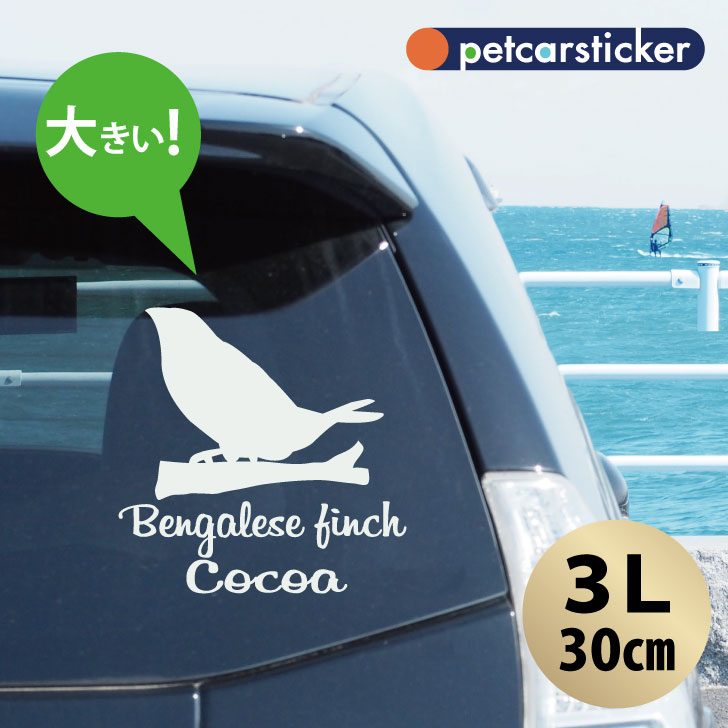 車 ステッカー 【 十姉妹 】【3Ｌ】 かわいい シンプル カーステッカー カッティングシート グッズ プレゼント おしゃれ オーダーメイド 名前 シール 可愛い