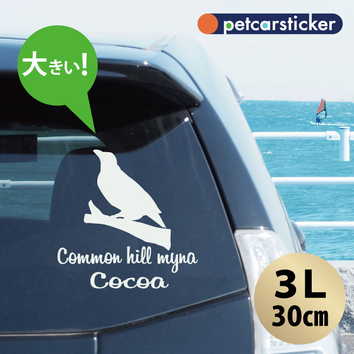 車 ステッカー 【 九官鳥 】【3Ｌ】 かわいい シンプル カーステッカー カッティングシート グッズ プレゼント おしゃれ オーダーメイド 名前 シール 可愛い