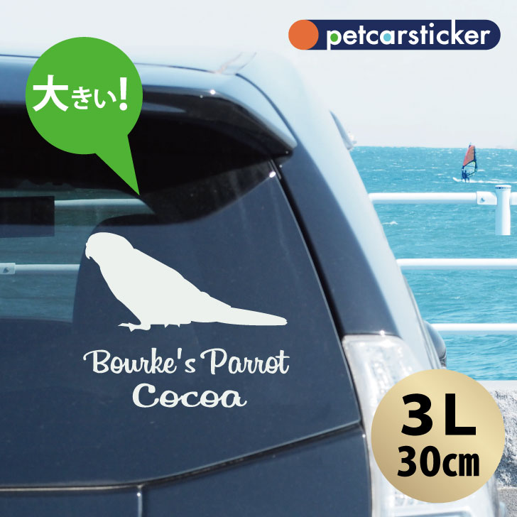 車 ステッカー 【 アキクサインコ 】【3Ｌ】 かわいい シンプル カーステッカー カッティングシート グッズ プレゼント おしゃれ オーダーメイド 名前 シール
