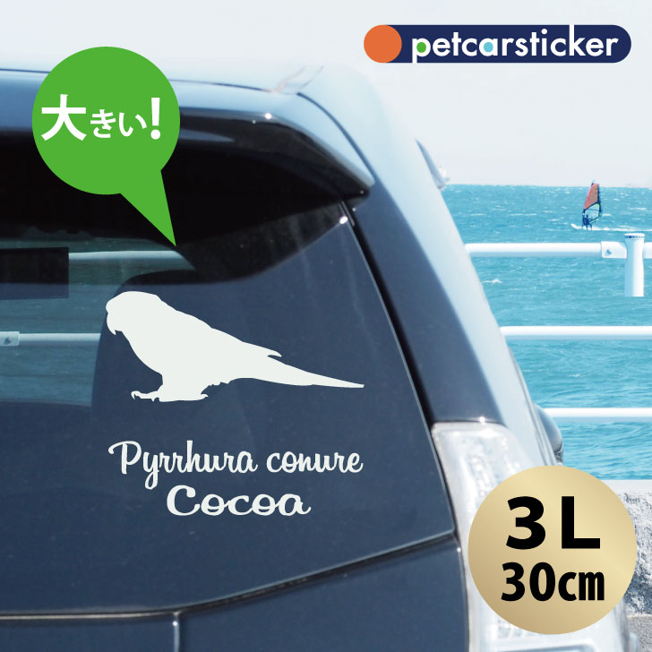 車 ステッカー 【 ウロコインコ 】【3Ｌ】 かわいい シンプル カーステッカー カッティングシート グッズ プレゼント おしゃれ オーダーメイド 名前 シール