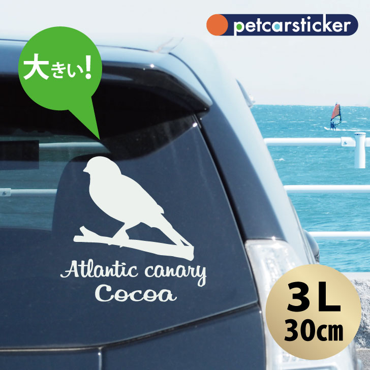 車 ステッカー 【 カナリア 】【3Ｌ】 かわいい シンプル カーステッカー カッティングシート グッズ プレゼント おしゃれ オーダーメイド 名前 シール 可愛い