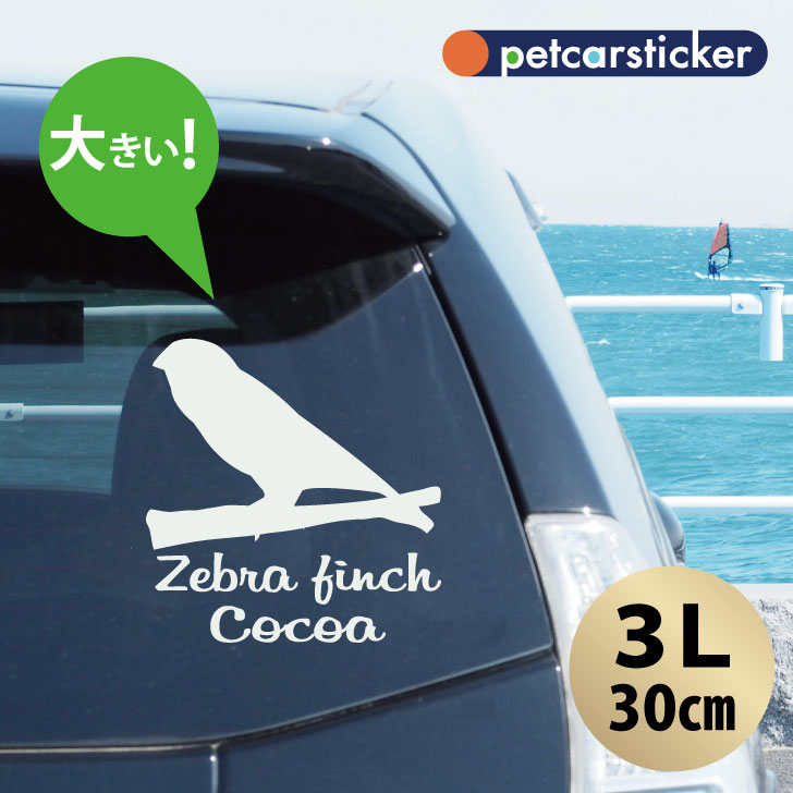 車 ステッカー 【 キンカチョウ 】【3Ｌ】 かわいい シンプル カーステッカー カッティングシート グッズ プレゼント おしゃれ オーダーメイド 名前 シール