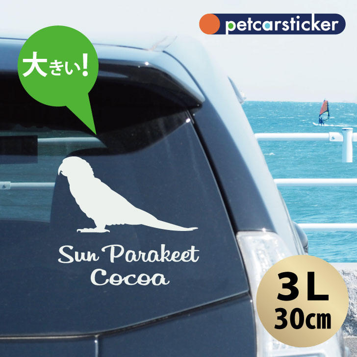 車 ステッカー 【 コガネメキシコインコ 】【3Ｌ】 かわいい シンプル カーステッカー カッティングシート グッズ プレゼント おしゃれ オーダーメイド 名前