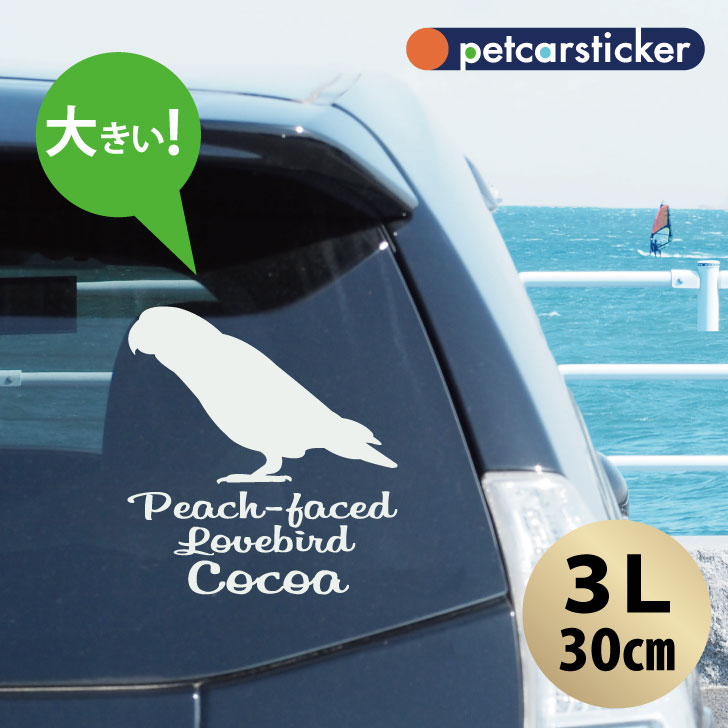 車 ステッカー 【 コザクラインコ 】【3Ｌ】 かわいい シンプル カーステッカー カッティングシート グッズ プレゼント おしゃれ オーダーメイド 名前 シール