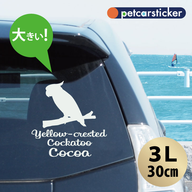車 ステッカー 【 コバタン 】【3Ｌ】 かわいい シンプル カーステッカー カッティングシート グッズ プレゼント おしゃれ オーダーメイド 名前 シール 可愛い